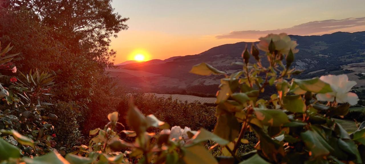 B&B La Terrazza Del Subasio Assisi Kültér fotó