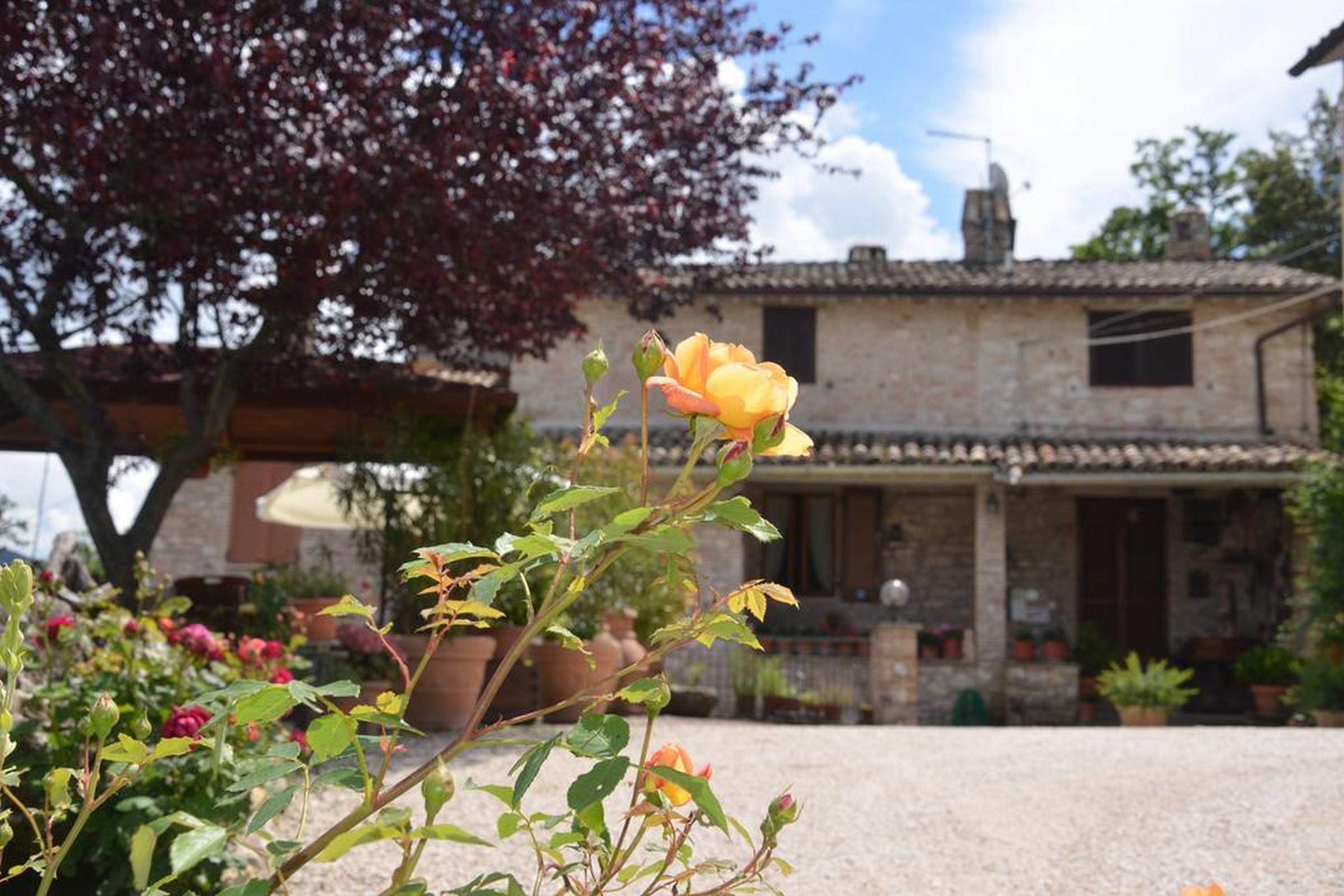 B&B La Terrazza Del Subasio Assisi Kültér fotó