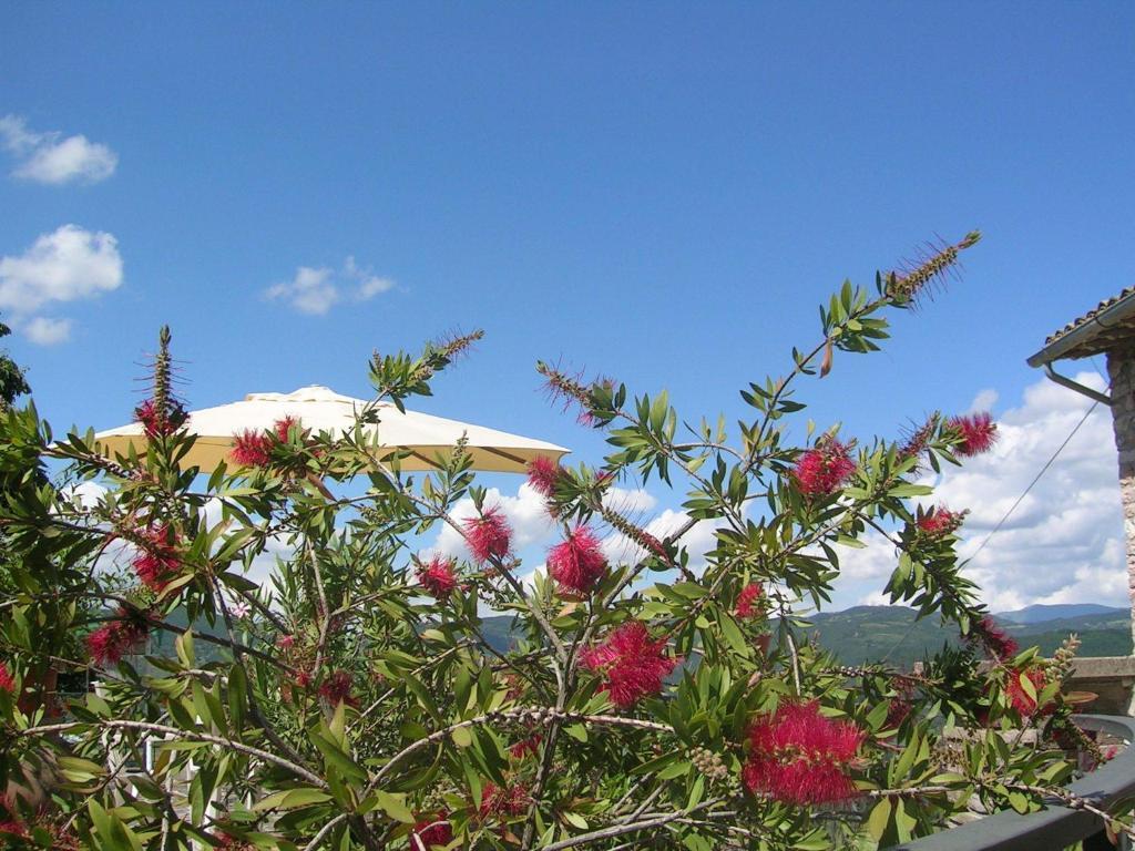 B&B La Terrazza Del Subasio Assisi Szoba fotó